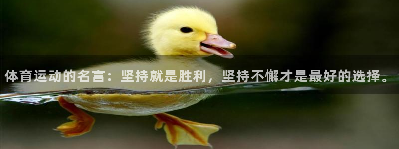 oety欧亿：体育运动的名言：坚持就是胜利，坚持不懈才是最好的选择。