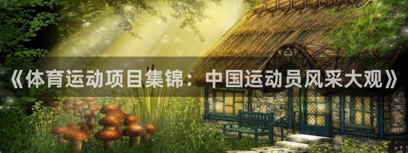 oety欧亿：《体育运动项目集锦：中国运动员风采大观》