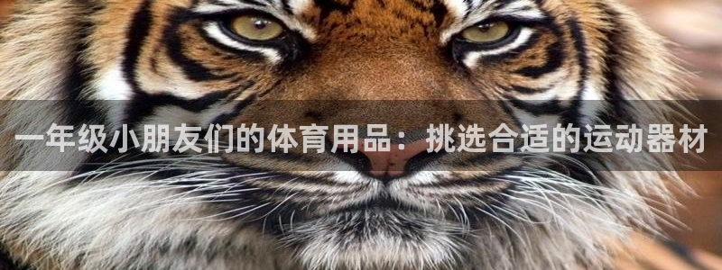 oety欧亿：一年级小朋友们的体育用品：挑选合适的运动器材