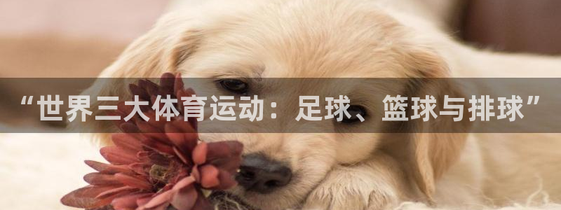 oety欧亿：“世界三大体育运动：足球、篮球与排球”