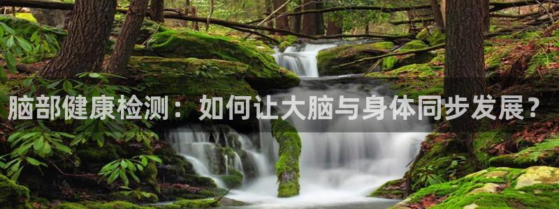 oety欧亿：脑部健康检测：如何让大脑与身体同步发展？