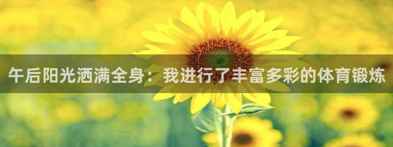 oety欧亿：午后阳光洒满全身：我进行了丰富多彩的体育锻炼