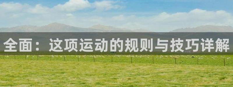 oety欧亿：全面：这项运动的规则与技巧详解