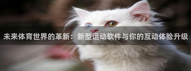 oety欧亿：未来体育世界的革新：新型运动软件与你的互动体验升级